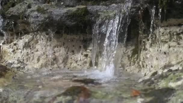 Bergkreek Met Watervallen Tussen Stenen Een Donker Bos Zomer Indrukwekkend — Stockvideo