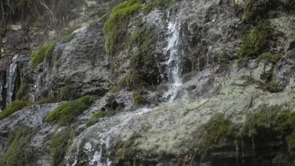 Lesklý Vodopád Horách Lesklými Kapkami Padajícími Mechové Kameny Slo Nádherný — Stock video