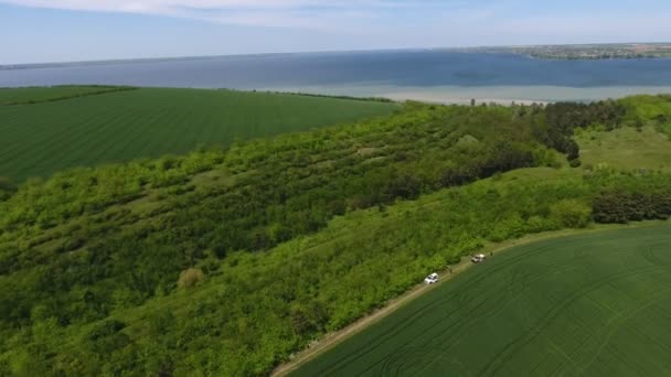 Vzdušný Záběr Zeleného Lesního Pásu Ústí Řeky Dnipro Slunečného Léta — Stock video