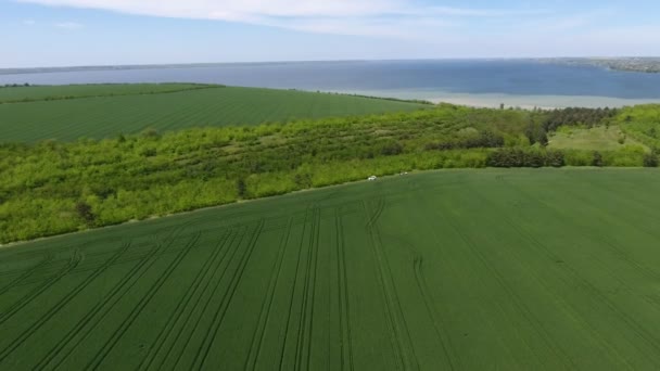 Aerial Shot Huge Green Agro Areas Mouth Dnipro River Summer — Vídeo de stock