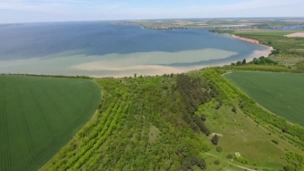 Flygfoto Stora Gröna Agro Fält Mynningen Floden Dnipro Sommaren Vacker — Stockvideo