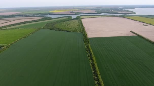 Luchtfoto Van Veelkleurige Akkers Zonder Grenzen Het Dnipro Bekken Zomer — Stockvideo