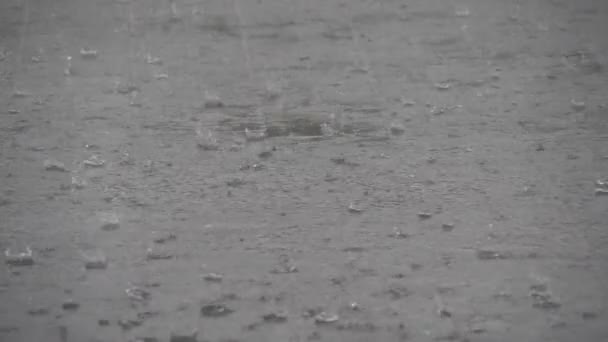 Krople Wody Spadające Bulgoczące Szarym Chodniku Deszczową Pogodę Jesienią Ponury — Wideo stockowe