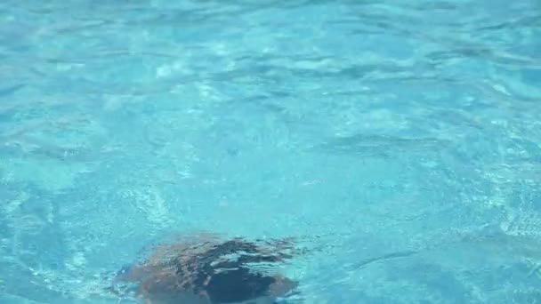 Niño Subiendo Desde Aguas Cristalinas Una Piscina Infantil Verano Cámara — Vídeo de stock