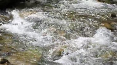 Yazın bir dağ nehrinde taşların üzerinde köpüklü su akıntıları. Güneşli bir yaz gününde Karpatya dağlarında eski taşların ve çakıl taşlarının üzerinden akan tahterevalli suların muhteşem manzarası. Sert ve güzel görünüyor.. 