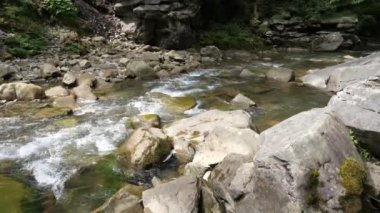 Yazın güneşli bir günde, Karpat dağlarında eski taş ve kayaların etrafından akan kristal suların heyacan verici manzarasıyla, bir dağdaki taşların arasından taşların arasından akan şeffaf su akıntıları. Vahşi ve doğal görünüyor.. 