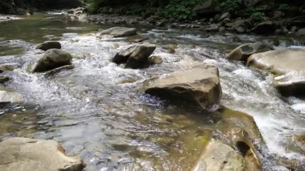 Čerstvé Průzračné Vody Obtékající Velké Skály Karpat Létě Působivý Pohled — Stock video
