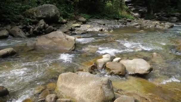 여름날 카르파티아 산맥의 바닥을 결정체의 카르파티아 산맥의 바위와 강바닥을 흐르는 — 비디오