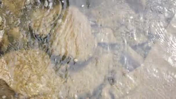 Подивіться Крізь Води Гірської Річки Течуть Спокійно Над Камінцями Галька — стокове відео