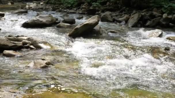 Flussi Acqua Cristallina Che Ribollono Tra Grandi Audaci Rivuleto Montagna — Video Stock