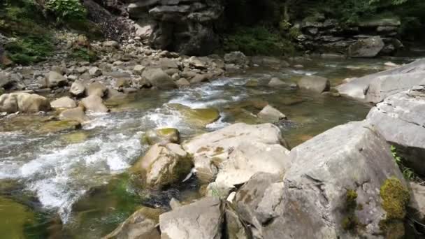 Ροές Διαφανούς Νερού Ξεπροβάλλουν Ανάμεσα Πέτρες Ένα Βουνίσιο Ρυάκι Συναρπαστική — Αρχείο Βίντεο