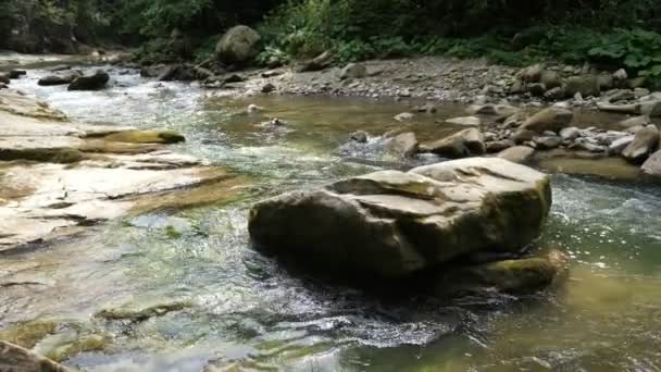 Ströme Kristallinen Wassers Das Einem Großen Kühnen Gebirgsfluss Vorbeifließt Beeindruckende — Stockvideo