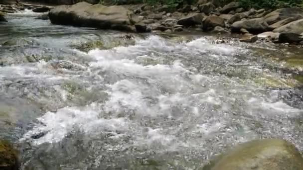 Burzliwe Wody Strumienia Karpatach Piana Słoneczny Dzień Wspaniały Widok Burzliwych — Wideo stockowe