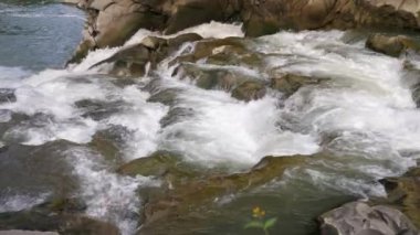 Karpatlar 'daki kayalık çağlayanı aşan güçlü kristal sular, güneşli bir yaz gününde karpatik dağlardaki kayalıklardan düşen şeffaf sulara çarpıyor. Su köpüklü ve köpüklü görünüyor..