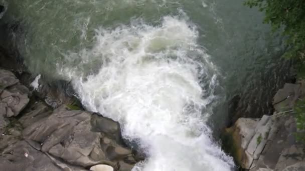 Raging Waterval Tuimelen Een Bergrivier Karpaten Prachtige Uitzicht Machtige Waterval — Stockvideo