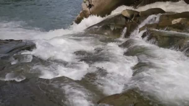카르파티아 산맥에서는 여름의 폭포를 흐르는 시냇물의 놀라운 광경을 결정적 흐르고 — 비디오