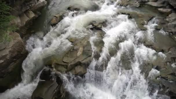 カルパチア山脈の滝の下に移動する不安定な結晶流夏の晴れた日にカルパタン山脈の岩の滝を落下する水の活発な泡立ちと固定された流れの息をのむような景色 — ストック動画