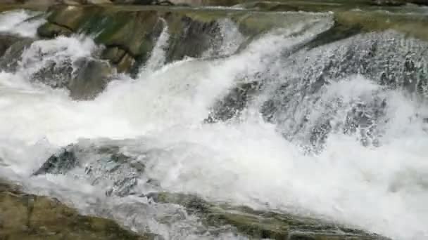 Могутні Чисті Води Долають Скелястий Водоспад Карпатських Горах Вражають Краєвид — стокове відео