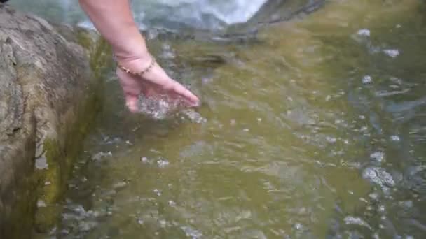 Kadın Eli Karpatlar Bir Dağ Nehrinin Kristal Suyuna Daldı Yazın — Stok video