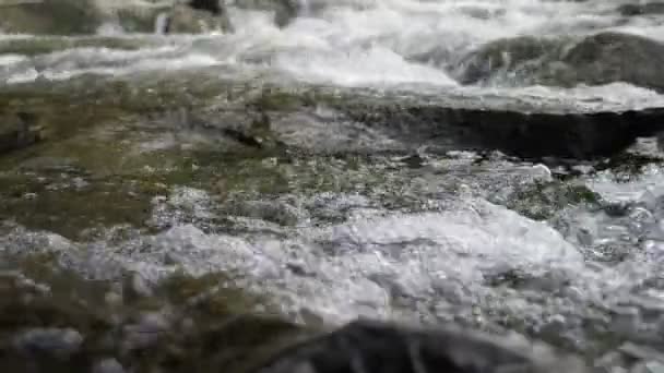 Ruig Water Dat Rotsachtige Bodem Van Een Bergbeekje Stroomt Karpaten — Stockvideo