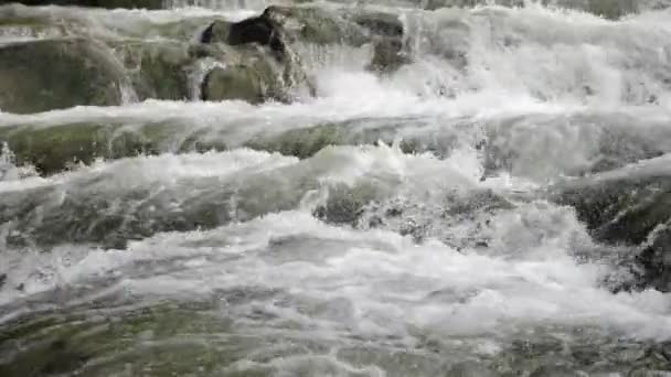 Acqua Selvaggia Che Scorre Lungo Rive Rocciose Fiume Montagna Nei — Video Stock