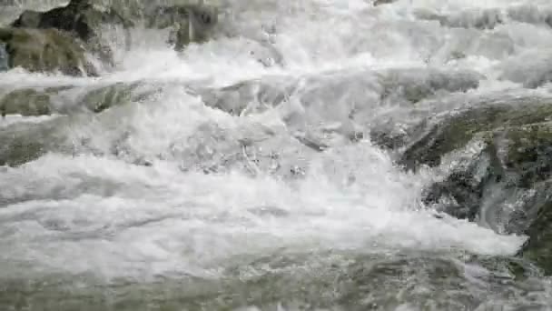 Bubbling Water Flowing Banks Mountain River Carpathians Impressive View Foamy — Stock Video