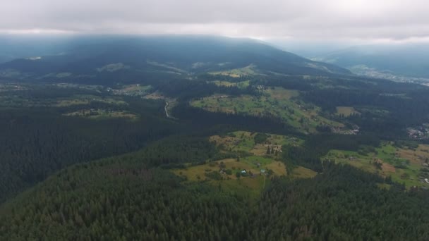 Luchtfoto Van Een Horizonloze Weide Karpaten Bergen Met Sparren Prachtig — Stockvideo