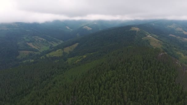Αεροφωτογραφία Ενός Πανύψηλου Καρπάθιου Βουνού Καλυμμένου Ωραία Έλατα Καλοκαίρι Υπέροχη — Αρχείο Βίντεο