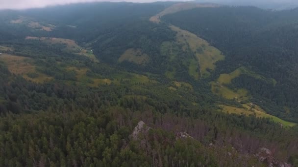 Vue Aérienne Ravin Dans Les Montagnes Des Carpates Couvert Épinettes — Video