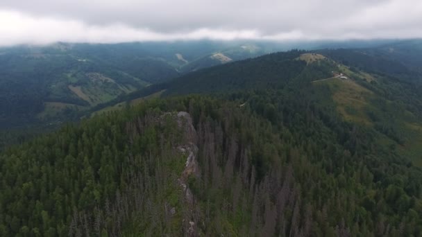 Fotografie Aeriană Unui Munte Înalt Din Carpați Acoperit Spruci Înalți — Videoclip de stoc