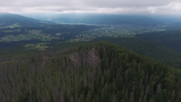 Luchtopname Van Een Hoge Karpaten Berg Bedekt Met Dennenbomen Zomer — Stockvideo