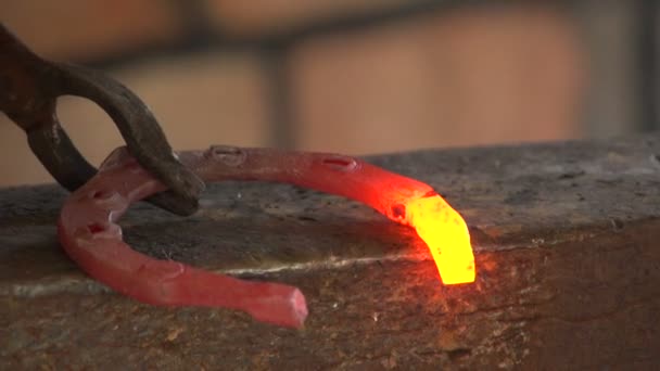 Blacksmith forges a horseshoe, slow motion — Stock Video