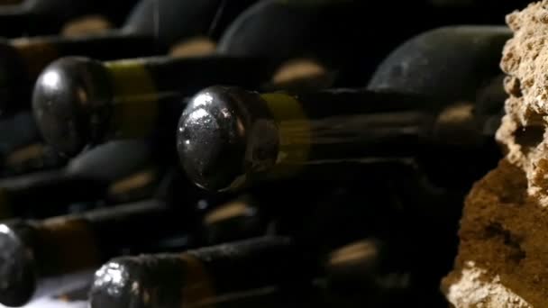 Empilés bouteilles de vin dans la cave — Video