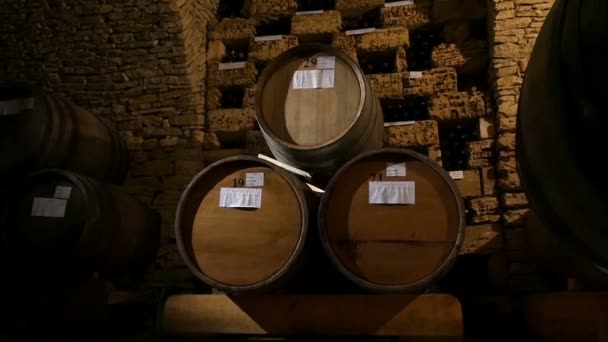 Barricas en una bodega — Vídeos de Stock