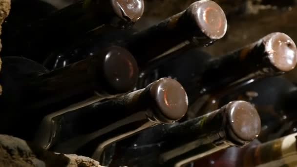 Gros plan des bouteilles de vin dans une cave à vin — Video