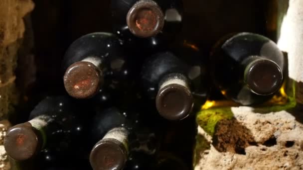 Garrafas de vinho em uma antiga adega de vinho — Vídeo de Stock