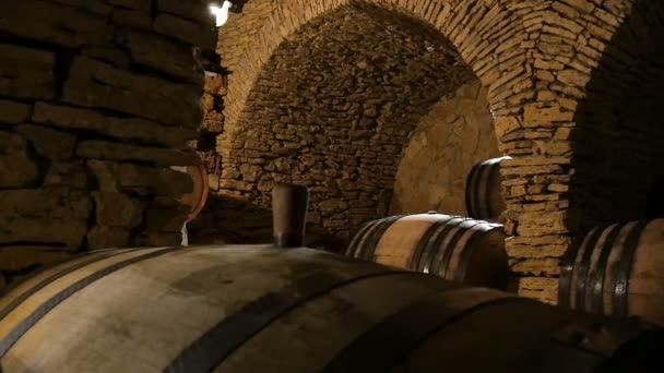 Bodega de vino con muchas barricas de vino — Vídeo de stock