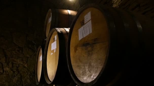 Barriles de vino viejos en una bodega — Vídeos de Stock