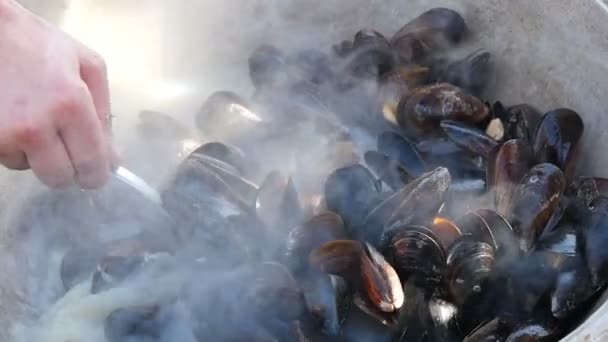 Chef fait frire des fruits de mer au ralenti — Video