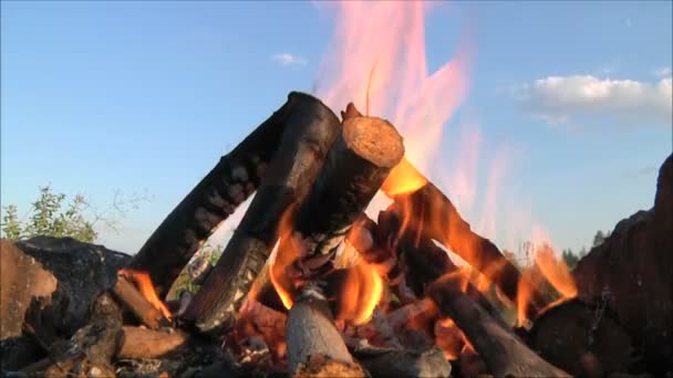 Grumes brûlant dans un feu de joie — Video