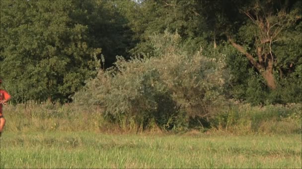 Jugendliche wärmen sich auf — Stockvideo