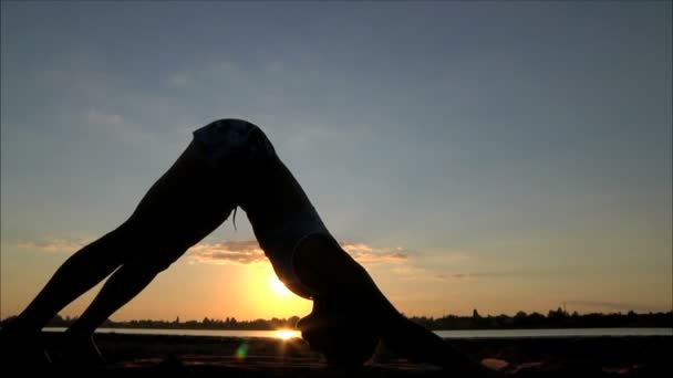 Vrouw die zich bezighouden met yoga — Stockvideo