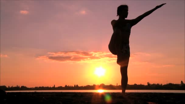 Female engaged in fitness — Stock Video