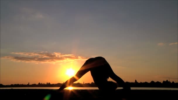 Mujer dedicada a la aptitud — Vídeos de Stock