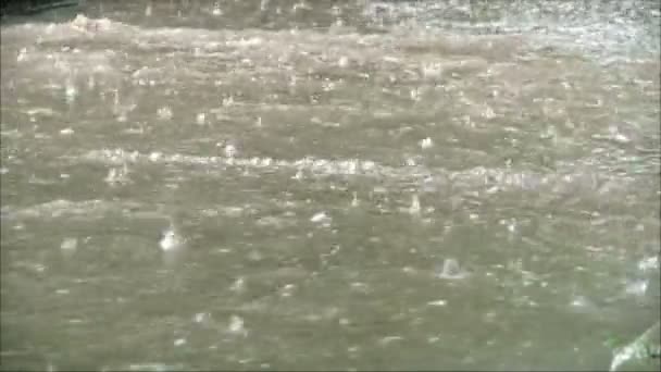 Поток воды под дождем — стоковое видео