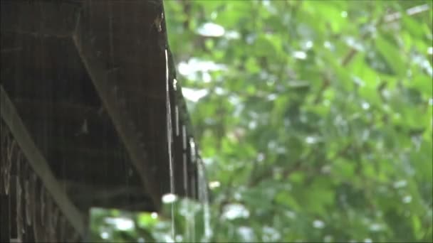 Gotas de lluvia cayendo del techo — Vídeos de Stock