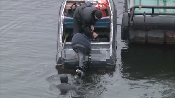 Diver comes out of water — Stock Video