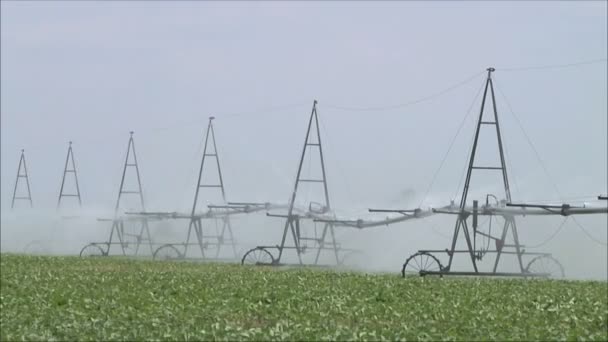 Bewässerung auf dem Feld am Tag — Stockvideo