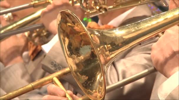 People in Jazz Orchestra — Stock Video