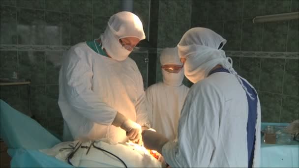 Medical team performing operation — Stock Video